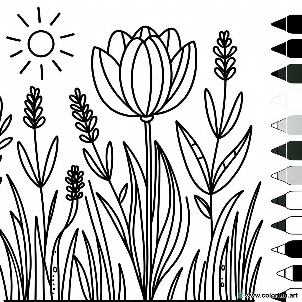coloring page tulip nature