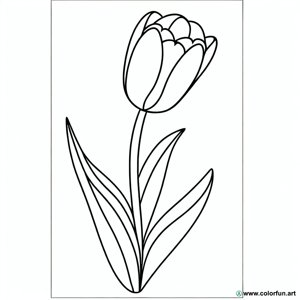 coloring page tulip spring