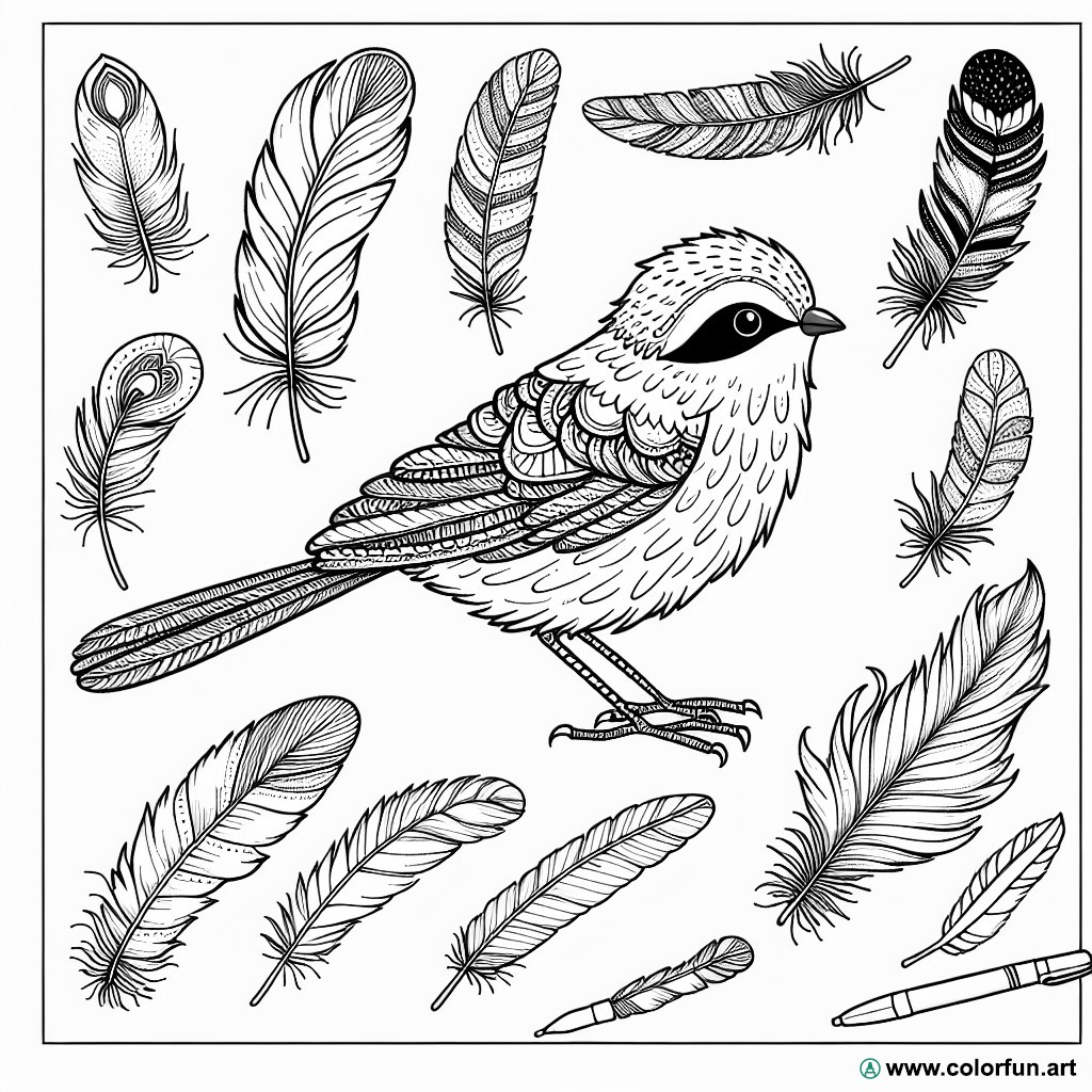 coloring page plumage