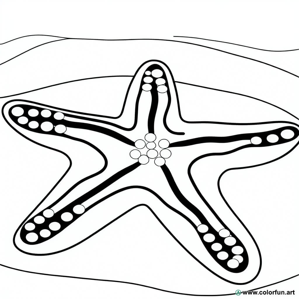 coloring page starfish