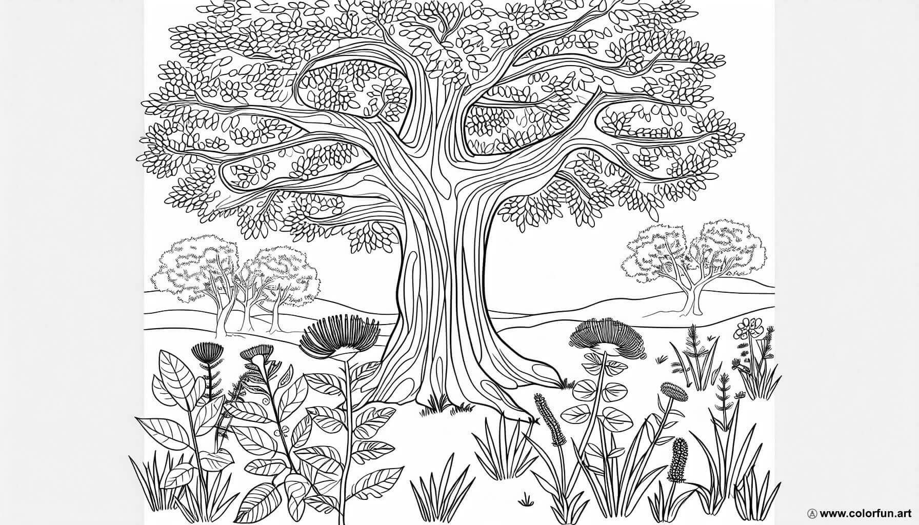 coloring page flora forest