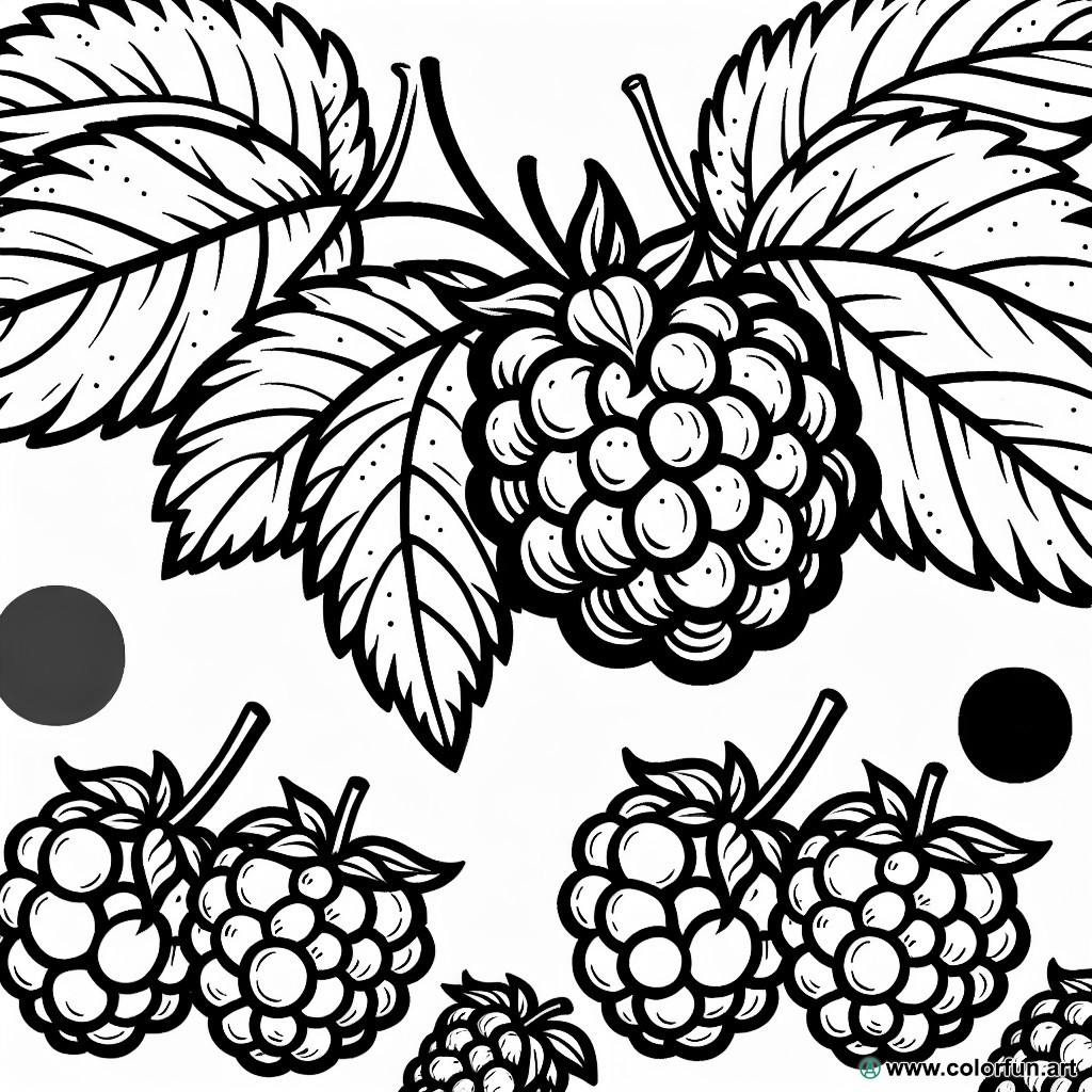 Original raspberry coloring page