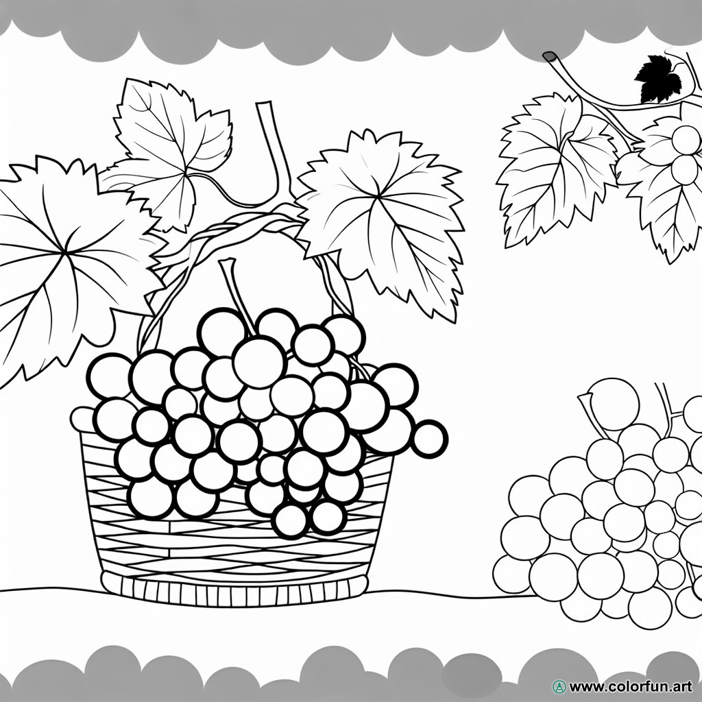 coloring page grape cluster kindergarten