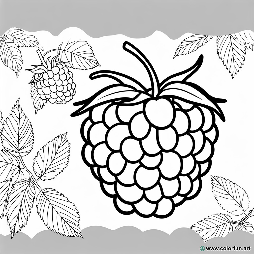 coloring page organic raspberry