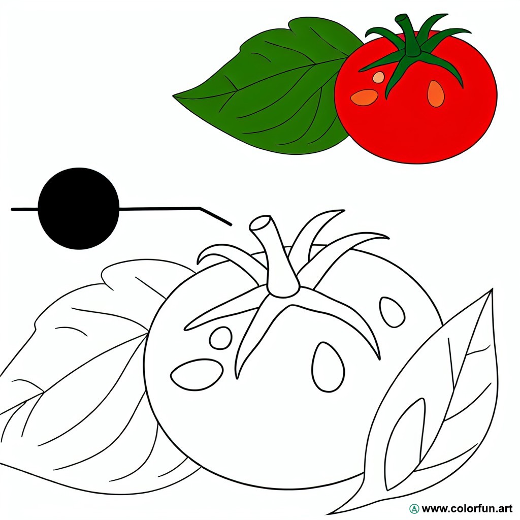 Easy tomato coloring page