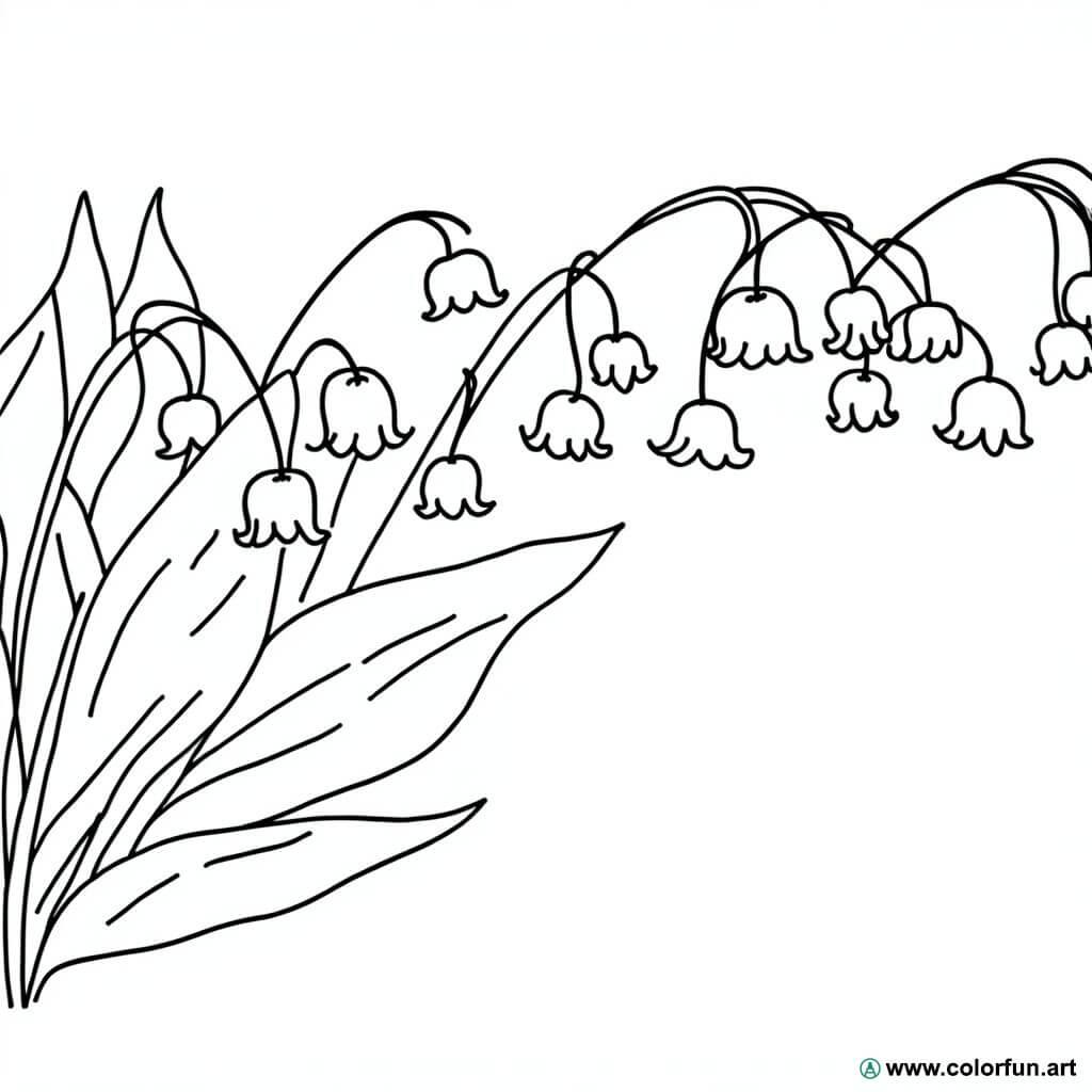 coloring page lily of the valley spring