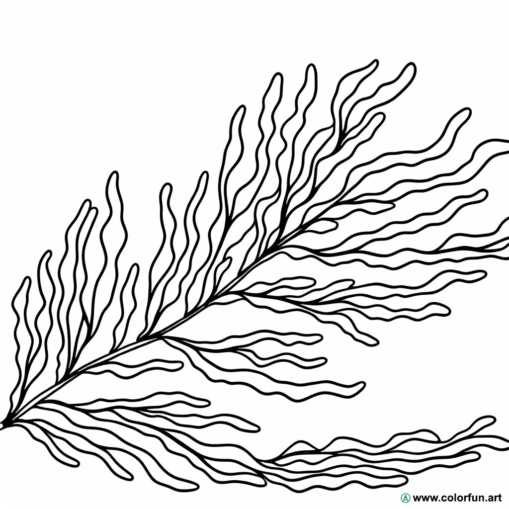 coloring page seaweed