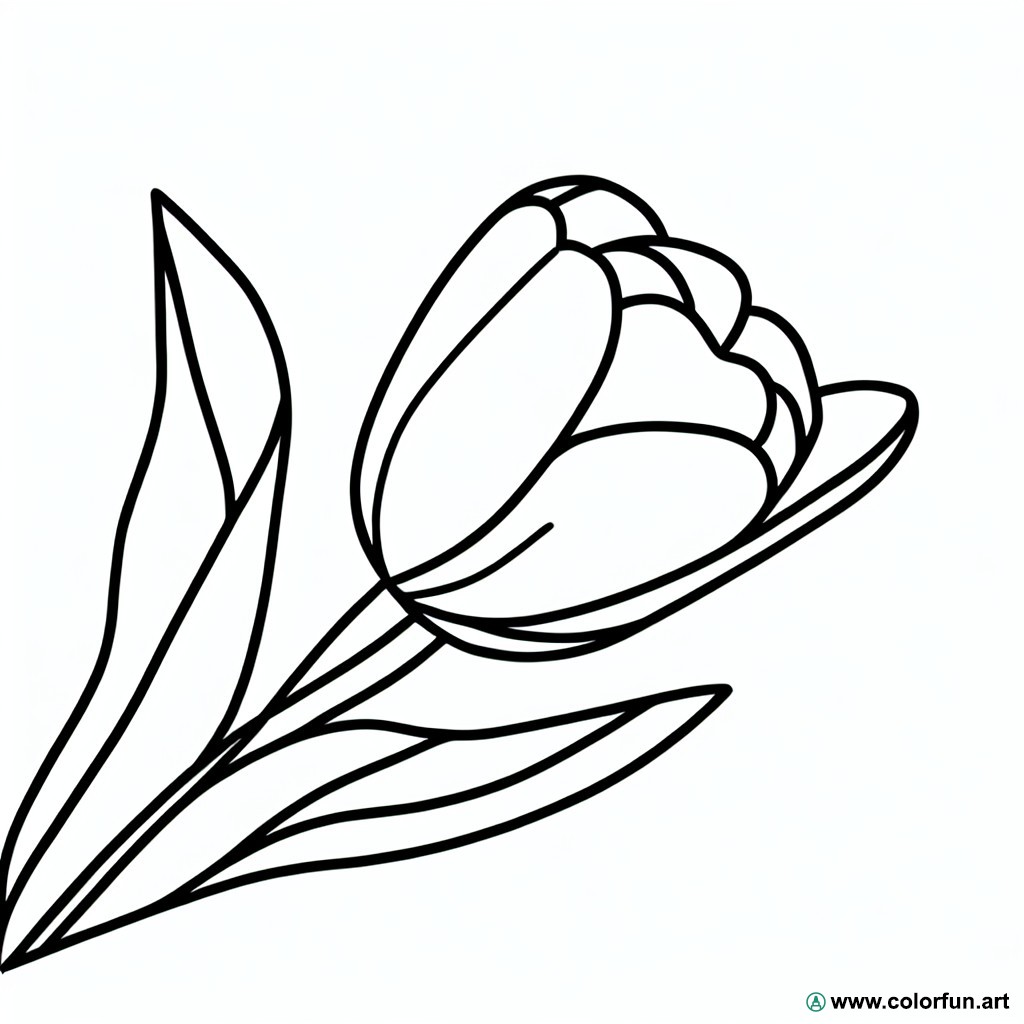 coloring page realistic tulip