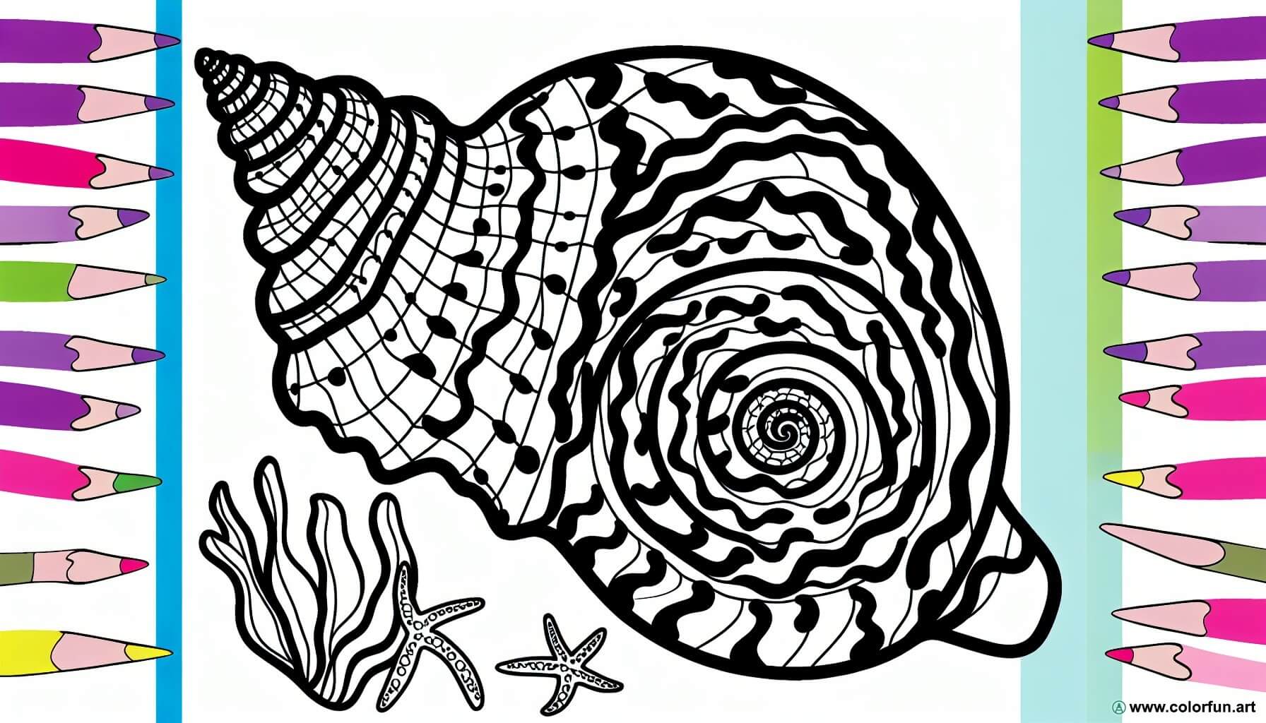 coloring page easy seashell