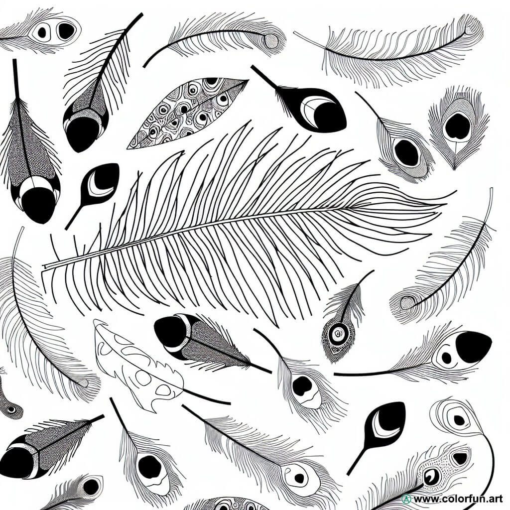 coloring page exotic feathers
