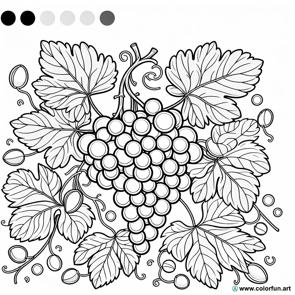 coloring page grape cluster