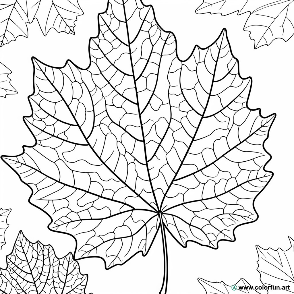coloring page autumn leaf
