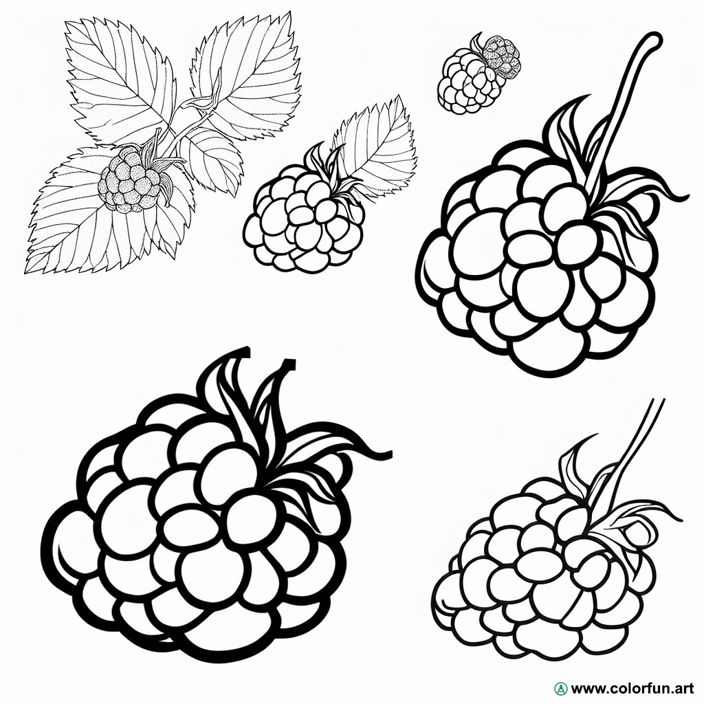 coloring page delicious raspberry