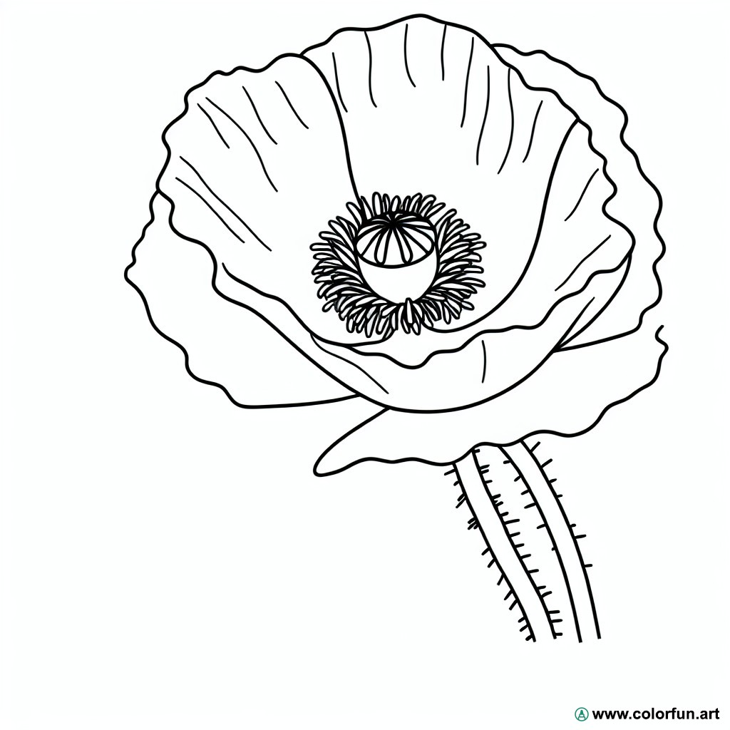 coloring page poppy adult