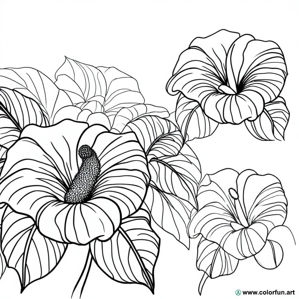 coloring page exotic flowers
