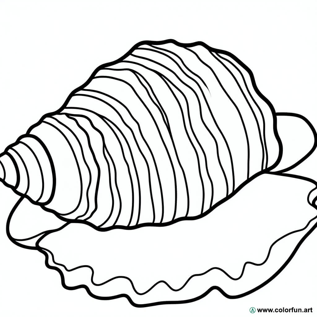 coloring page marine seashell