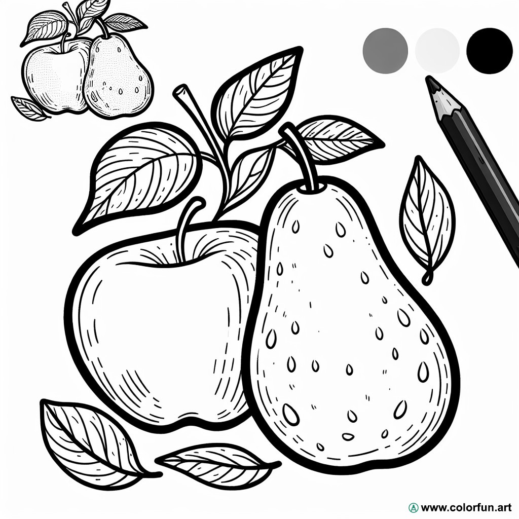 coloring page apple pear