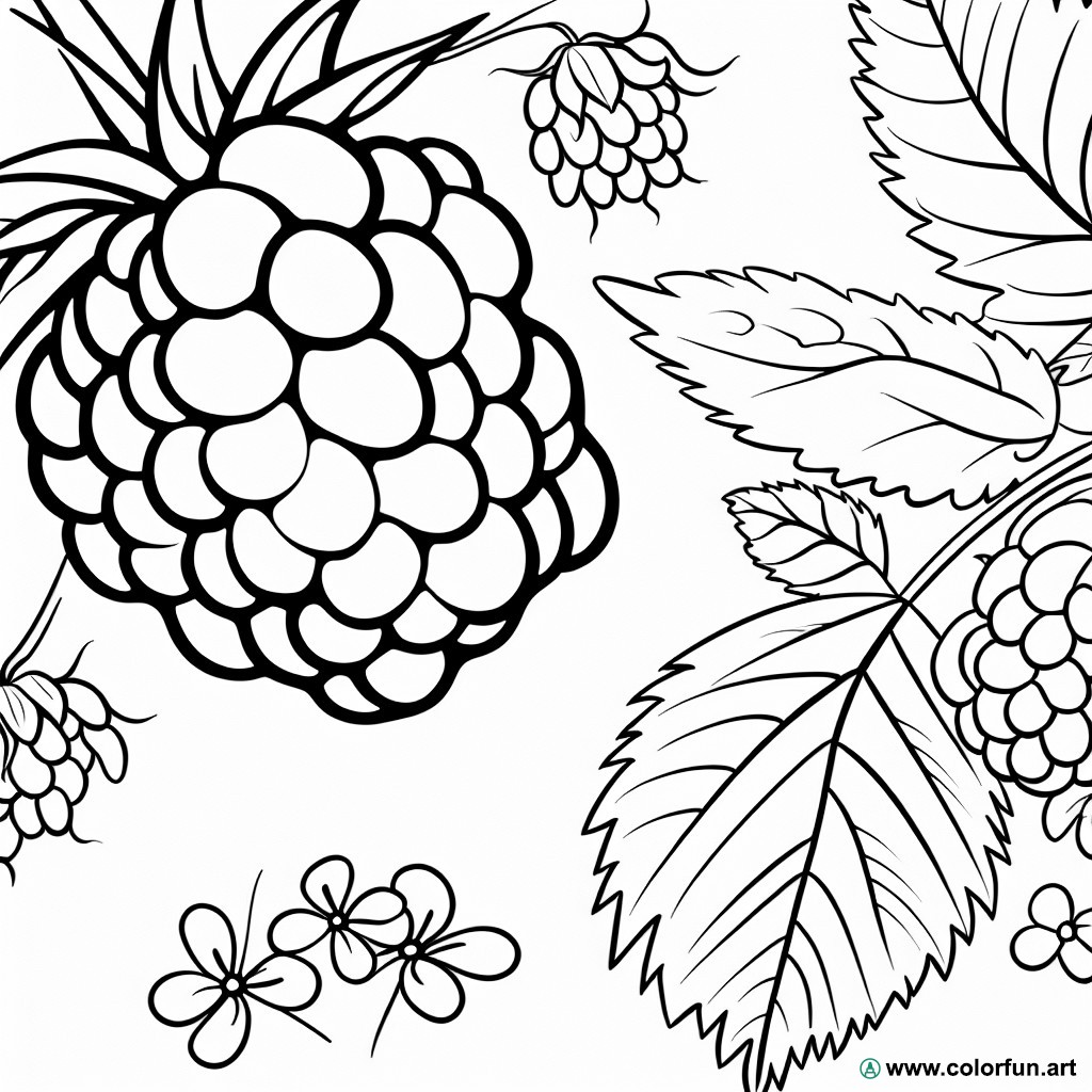 coloring page raspberry nature