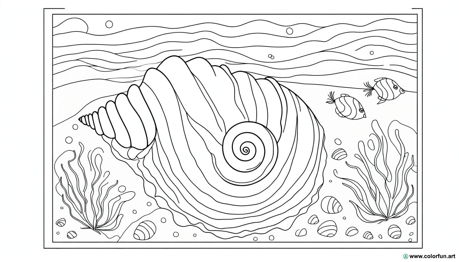 coloring page shells and sea