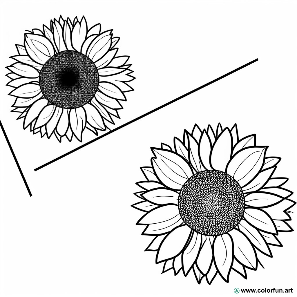 coloring page floral sunflower