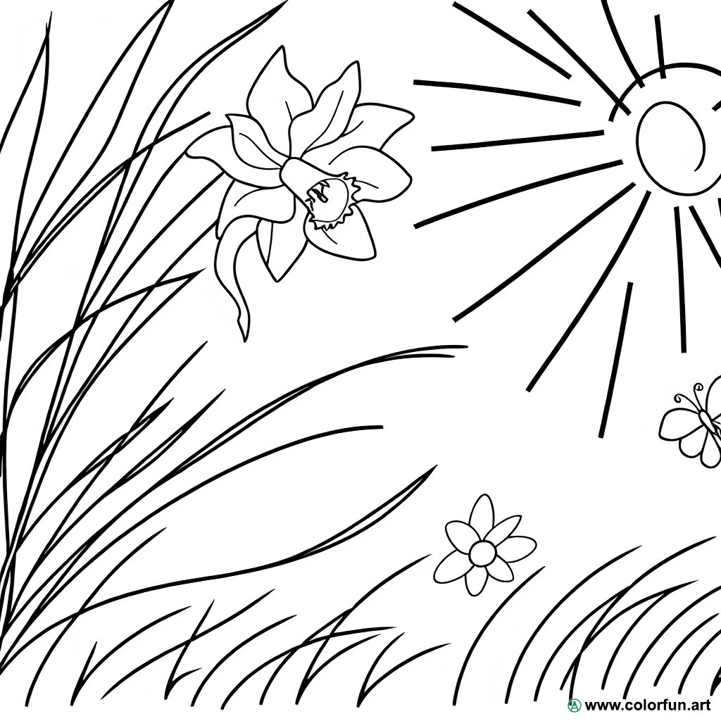 Coloring page daffodil nature