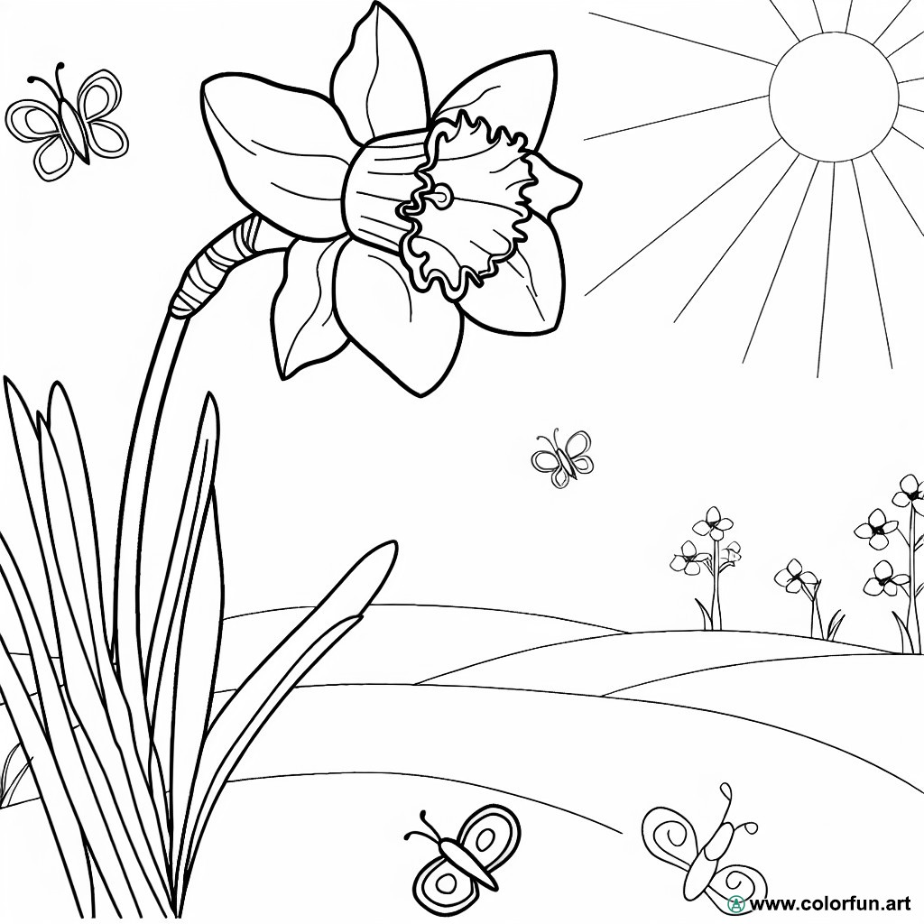 coloring page spring daffodil