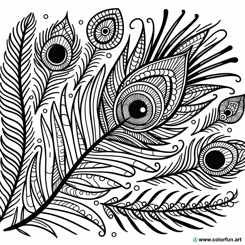 peacock feather coloring page