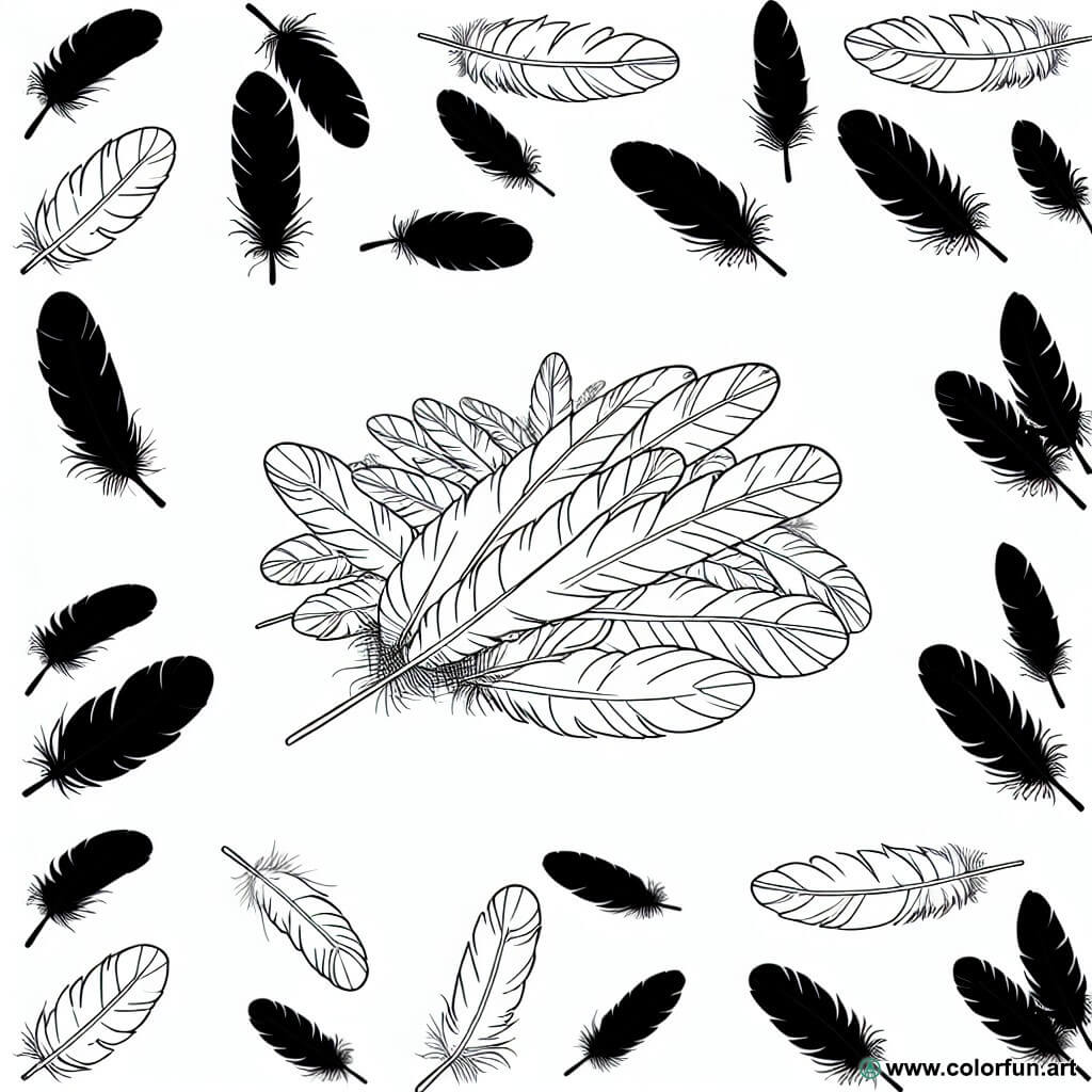 coloring page bird feathers