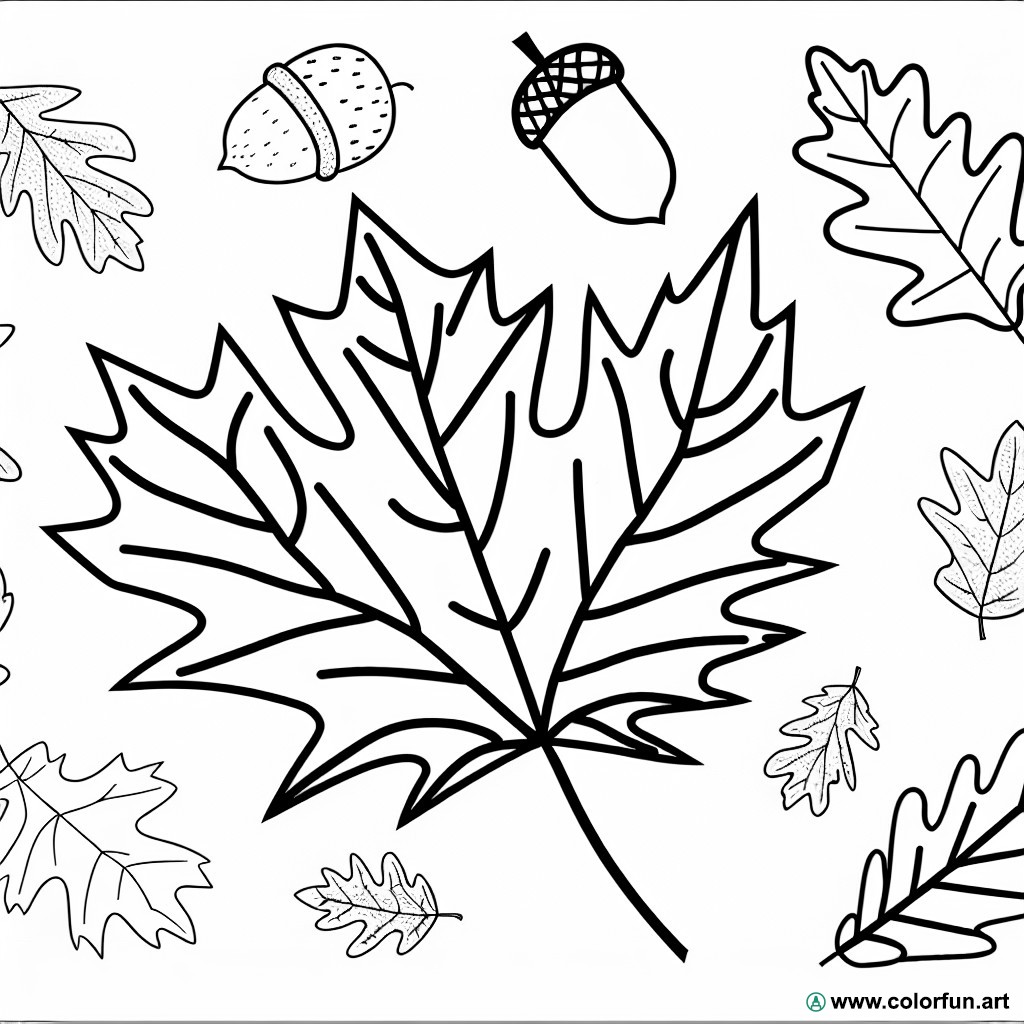 varied autumn leaves coloring page