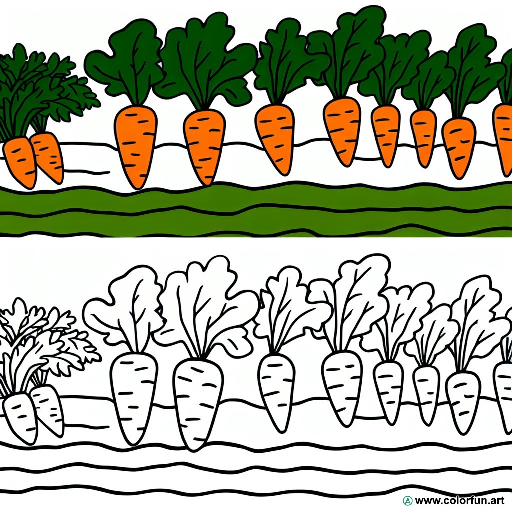 coloring page carrots vegetable garden